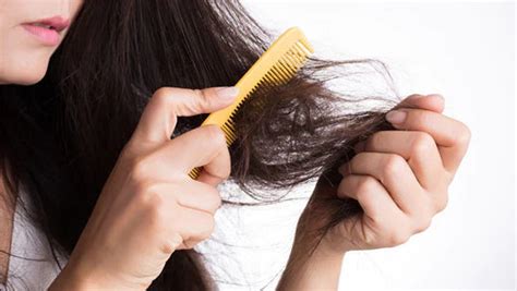 10 Common Hair Problems And How To Overcome Them Youvit Malaysia