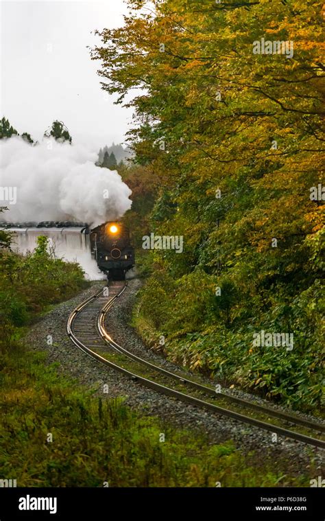 Steam Locomotive In Autumn Forest At Fukushima Japan Stock Photo Alamy