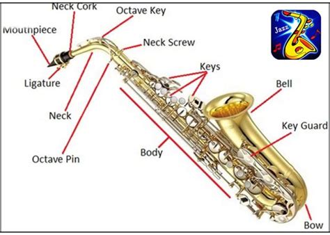 Las Mejores T Cnicas Para Tocar El Saxof N Musicway