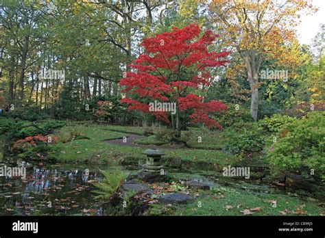 A Japanese Garden In Autumn Stock Photo Alamy