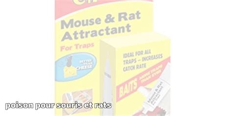 Poison Pour Souris Et Rats Notre Top 10 Pour 2024 Protection Jardin