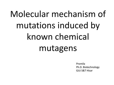 Molecular Mechanism Of Induced Mutations PPT