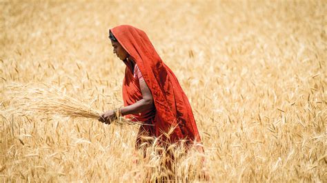 The Global Food Crisis Is In Its Infancy Women Are The Most Affected