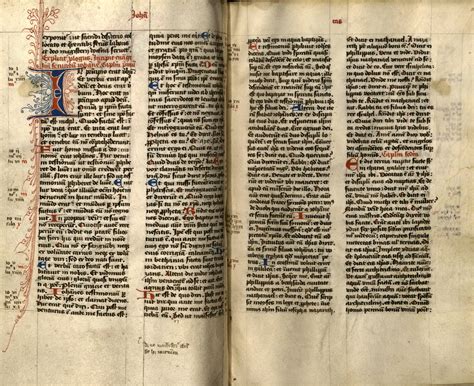 Manuscript Bibles From The Middle Ages Csun University Library