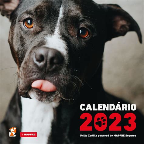 Sem superstições Este calendário português tem os animais pretos como