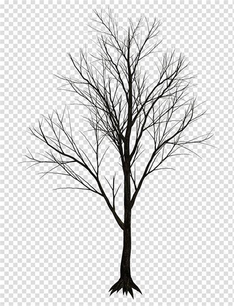 Dark Trees Leafless Tree Transparent Background PNG Clipart HiClipart