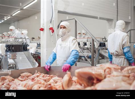 Meat Processing Plant Group Of Workers Working At A Chicken Factory