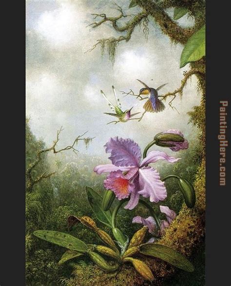 Martin Johnson Heade Two Hummingbirds With A Pink Orchid Painting