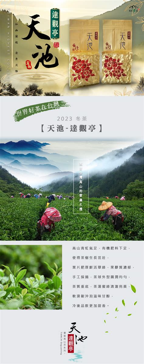 2023冬茶【天池達觀亭】 高山茶王｜群山之嶺的贈禮，來自台灣！