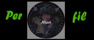 Subasta Perfil de Izuku Midoriya Tienda Estética Amino Amino