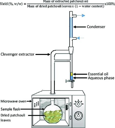 The Experimental Setup For Extraction Of Essential Oil From Dried Download Scientific Diagram