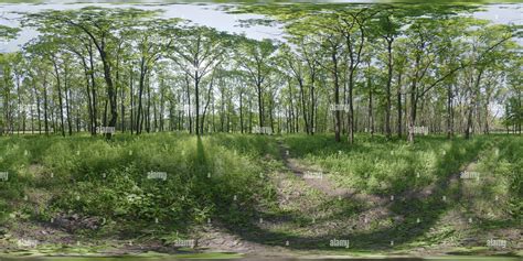 360° view of Nature of Dz - Alamy