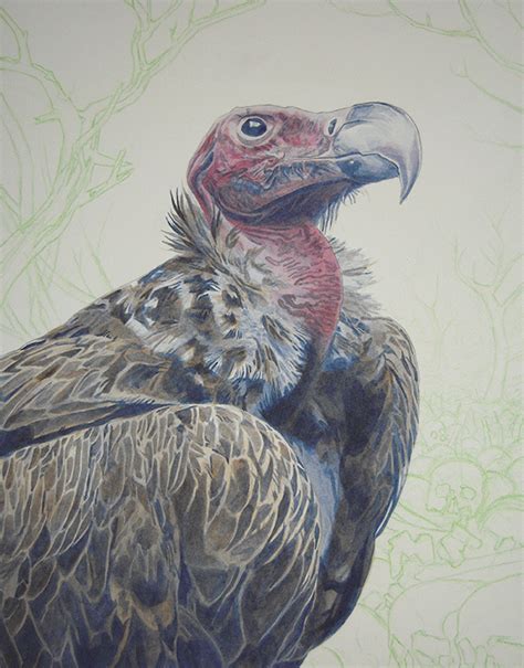 Alan Hawley Illustration Vulture Painting