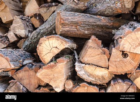 Pile Of Stacked Triangle Firewood Prepared For Fireplace And Boiler