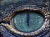 Creature Eye Textures Vol D Model Cgtrader