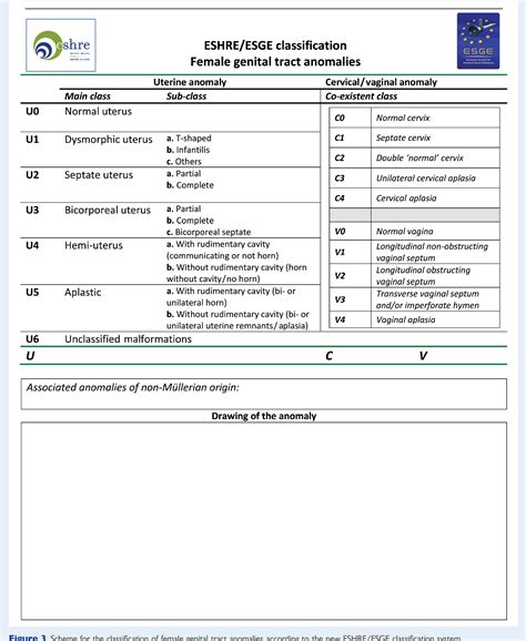 Figure From The Eshre Esge Consensus On The Classification Of Female