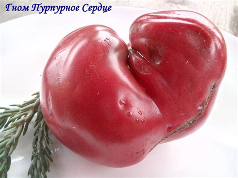 Томат Пурпурное Сердце: описание сорта, ОТЗЫВЫ (10), фото, урожайность ...