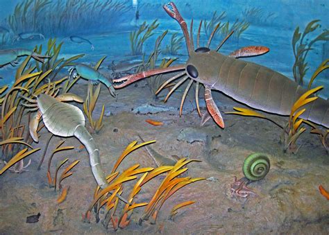 Diorama Of A Silurian Seafloor Eurypterids Sea Scorpions Algae