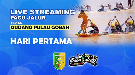 LIVE Pacu Jalur Di Tepian Gudang Pulau Gobah Hulu Kuantan Hari