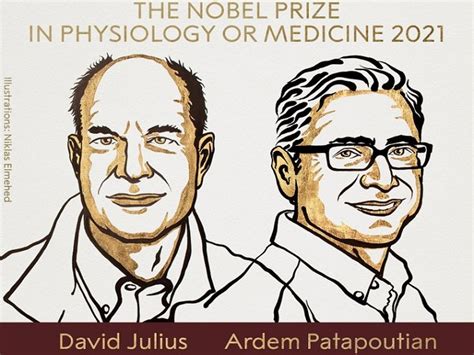 Nobel Prize 2021 winners: Check the complete list- Physics, Chemistry, Literature, Economic ...