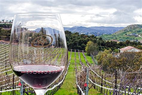 Altipiano Vineyards - The Devastating Damage Gave The Vines Breath ...