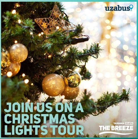 Xmas Lights Tour 22 - Tauranga | Uzabus