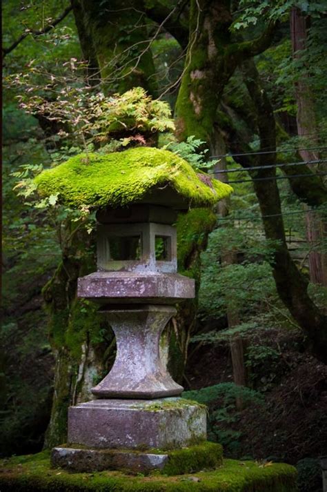 Pin by Melinda Foster on Yard & Garden | Japanese garden lanterns, Japanese garden, Japanese ...