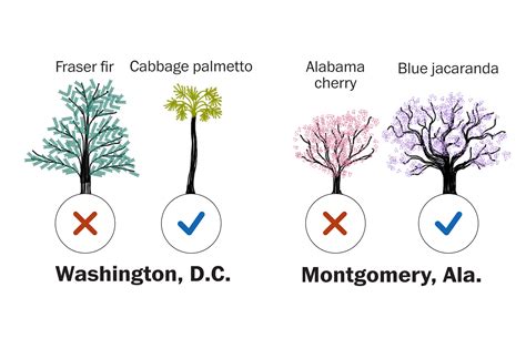 Effects Of Global Warming On Trees