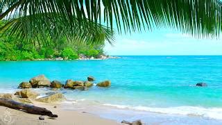 Tropical Beach Ambience On A Island In Thailand With Ocean Sounds For