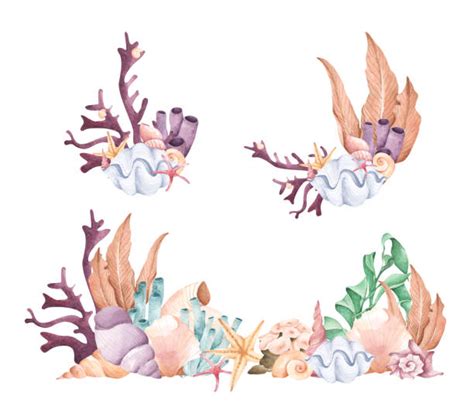 390 Coral Reef Wreath Stock Illustrations Royalty Free Vector