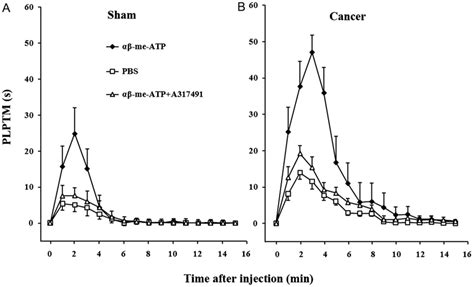 Bone Cancer Increased The Flinch Responses Evoked By Subcutaneous