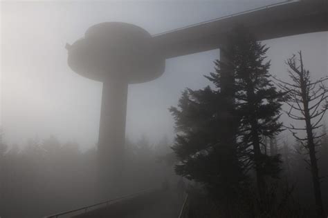 Clingmans Dome Trail - TRIPS TIPS and TEES