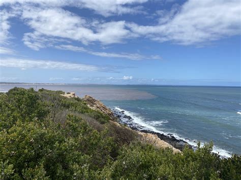 The Flood Water Has Made It To The Ocean Rmelbourne