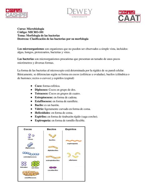 Clasificación De Las Bacterias Por Su Morfología Curso Microbiología Código Micro Tema