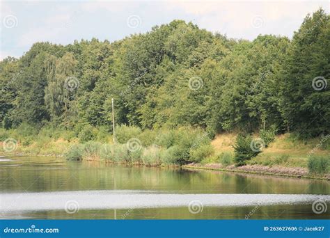 Kiel Canal in Germany stock photo. Image of canal, wilderness - 263627606