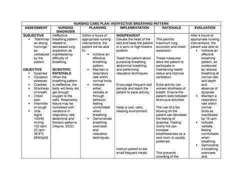 Ncp Ncp Nursing Care Plan Ineffective Breathing Pattern