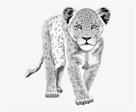 Leopard Outline Clipart