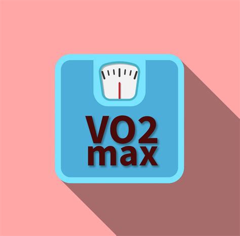 Understanding Vo2 Max Vs Body Weight By Alex Fastfitness