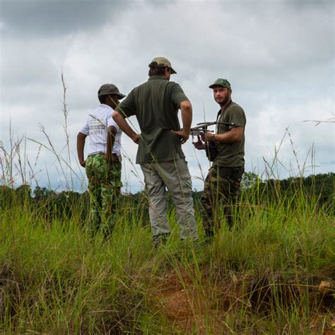 Gabon Conservation - Gabon Wildlife Camps & Safaris | GABON