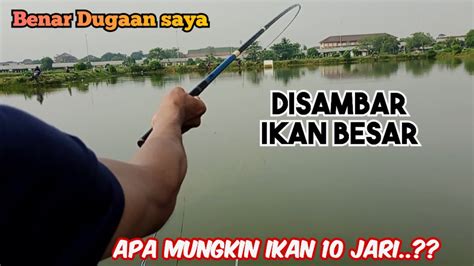 Bukan Main Mancing Dispot Baru Dibuka Disambar Ikan Besar Sampai Putus