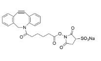 Dbco Sulfo Nhs Ester Cas Udp Mof