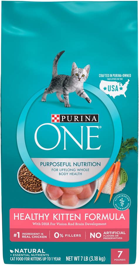 Best Dry Cat Foods Top Picks For Kittens Adults Seniors