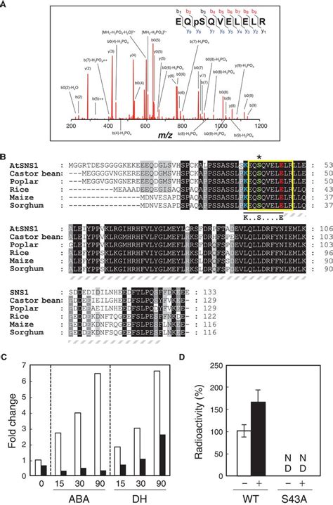 Genetics And Phosphoproteomics Reveal A Protein Phosphorylation Network