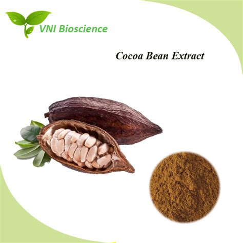 Kosher Halal Certified Natural Cacao Extract China Cacao And