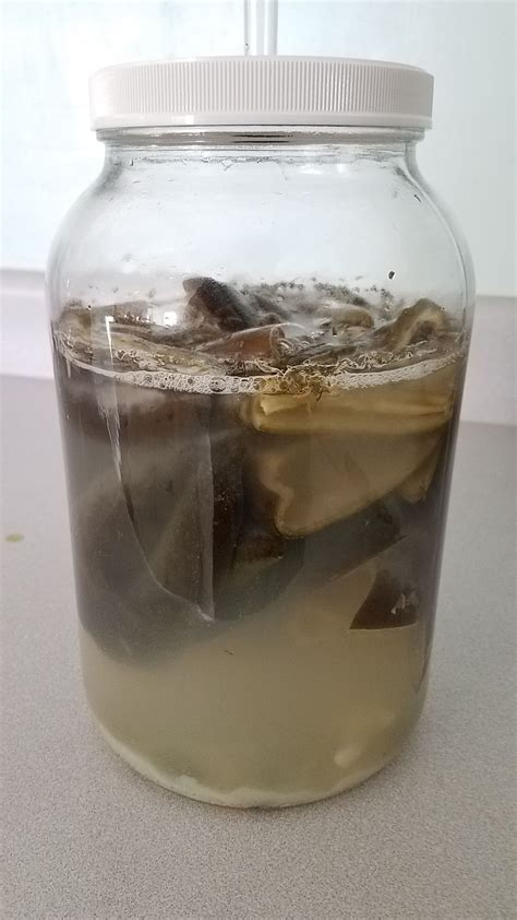 Hot Sauce Days In First Fermentation Project Would You Eat It R Fermentation