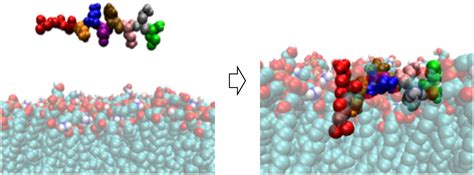 Molecular Dynamics Simulation Of The Interaction Of Two Linear Battacin