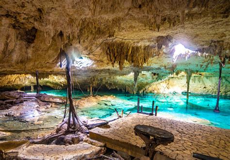 15 Cenotes Más Bonitos De Tulum Consejos Yucatán México