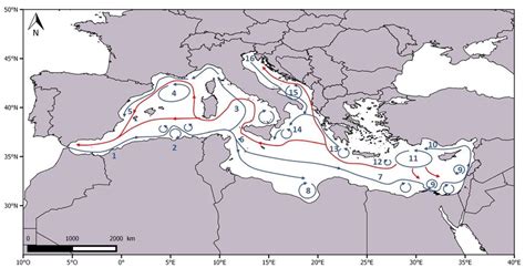 5 Main Currents In The Mediterranean Sea Blue Arrows Represent The