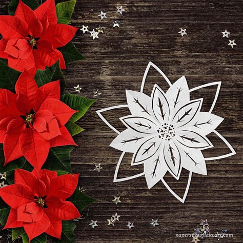 Store 1 — Paper Snowflake Art