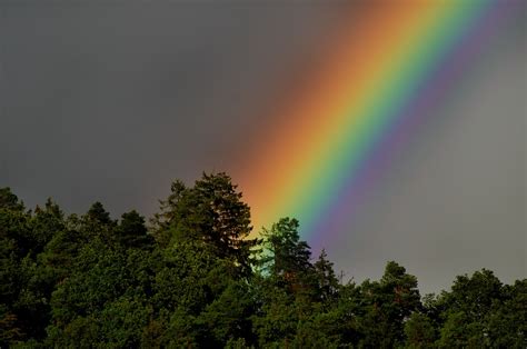 Download free photo of Rainbow,sky,rain,mood,landscape - from needpix.com